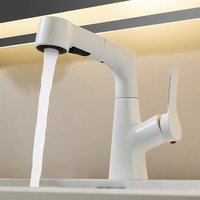 Bathroom Sink Faucet with Pull Out Sprayer Single Handle Single Hole 2 Spray Modes Bathroom Faucet Hot & Cold Water Mixer Tap