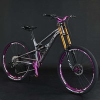 AliExpress NONE High Quality Ordinary Pedal Downhill Mountain Adult Bike Shock Absorption Soft Tail Bicycle Sport Style Mountain Bike