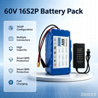 60-V-Lithium-Ionen-Akku-Pack mit 16S2P-Konfiguration und Ladegerät, integriertem intelligenten BMS-Schutzschaltkreis, hoher Kapazität und mehreren Anschlussoptionen für E-Bikes, Elektroroller und