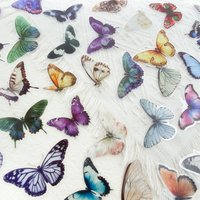 50pcs Elegant Butterflies Transparent PET Stickers Decals For Phone Laptop Notebook Suitcase Helmet DIY Aesthetic Stickers