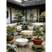 Thickened ABS Concrete Planter Mold, Easy Demolding Reusable Cement Pot Form, Round Hexagon Rectangle, European Chinese Carving