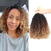 Hot Selling Yanky Twist Crochet Extensions for Black Women 8-14inch Pre-Looped Curly End Twist Braids High Temperature Fiber