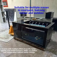 YG-12 Black Side-Filtered Fish Tank, Ultra-Clear Koi Tank, Ornamental Lightweight Aquarium, Circulation System, Customizable