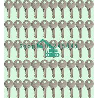 Brand New Ignition Switch Key 455 104466 Skyjack Man-Lifts Ronis and Genie JLG Lift Forklift Models 21982 Starter Keys 50PCS