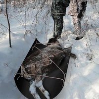 Wielofunkcyjne sanki użytkowe przenośne sanki do wędkowania pod lodem z liną sanki użytkowe Deer Drag sanki do wędkarstwa pod lodem gra myśliwska trwałe