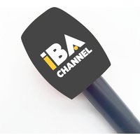 Customize Logo for Mic Foam Windscreen Microphones Covers for Handheld Interview Microphones 40mm Opening