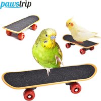 Mini Parrot Training Skateboard Creative Parrot Balance Toy for Small Medium Birds Interactive Intelligence Training Toy