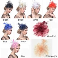 Tea Party Mesh Flowers Feathers Hat Hair Accessories with Hair Clip Fascinators Hat Organza Bridal Headwear for Girls and Women