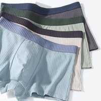 Striped Cotton Men Boyshorts Solid Color Men's Underwear Elastic Youth Boxer Briefs Breathable 3D-Crotch Male Boxer Panty