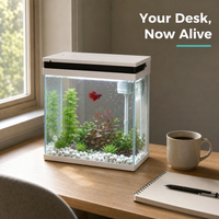 Mini aquarium en verre de 14 L avec éclairage LED, pompe de filtration, 30x20x33 cm, aquarium blanc