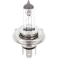 AliExpress PowerMotor 12v 35w Universal Motorcycle H4 Head Light Bulbs High Low Beam for 50cc-250cc Scooter ADV Go Kart ATV Dirt Pit Bike Accessories
