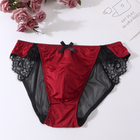 Man's Hip Sheer Net Mesh Sexy Panties Briefs Lace Hem Bowtie BF Gifts LGBQT Harajuku Private Party DJ Club Bar