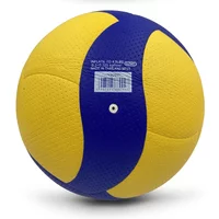 Mikasa Premium Volleyball Set - V200W Official Competition Ball + V300W Training Ball, Size 5 for Indoor Courts
