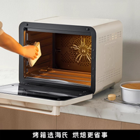 Professional Small Home Wind Oven with Fermentation Function Electric Hot Air Circulation Baking Oven for Kitchen