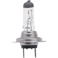 Car bulb head light lamp H7 (477/499) 12V 55W PX26d halogen bulb