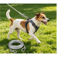 Double-Headed Anti-Rust Steel Wire Dog Tie out Cable Leash Metal Buckle Durable Traction Rope Strap Outdoor Training Collar