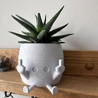 1/2pcs Creative Funny Flower Pot Ornaments Home Garden Potted Flower Pots Home Decoration Ornaments Suitable for Home Decoration