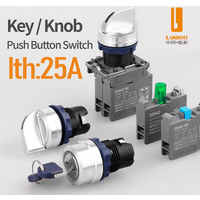 LANBOO 22mm Key Switch/Selector Switch with Self-Locking Function, 1NO/2NO, Screw Terminal Wiring, with LED