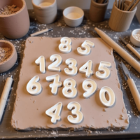 10pcs Heavy-Duty Plastic Number Theme Stamps, 0-9 Number Pattern, Suitable for Ceramic Clay, Pottery, Slab Rolling And Crafts