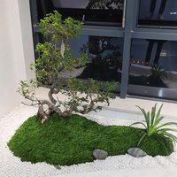 Mini Landscape Durable Artificial Filamentous Moss Environmental DIY Fake Moss Green Polyester Moss Grass Home