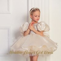 Meadow Cream White Princess Girls Dress Round Neck Short Sleeve First Communion Gown Children Birthday Wedding Dresses