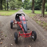 Kids and Adults Pedal Go Kart 8+ Years - Exclusive Mold Steel Frame Single Rider Kart for Parks (120kg Capacity)