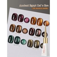 6 pièces ensemble de vernis à ongles Gel oeil de chat tremper UV français oeil de chat Gel vernis à ongles Salon de manucure