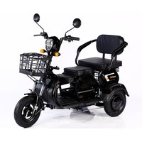 Ebike 3 Wheels Cargo Tricycle 1000W 600W 48V 3 Wheeler Electric Bike Electric Cargo Tricycle Motorcycle Electric Mobility Scoote