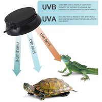 AliExpress NONE LED UVA UVB Full Spectrum Reptile Light With Dimmer& Cycle Timer For Bearded Dragon Lizard Gecko Snake Turtle EU Plug