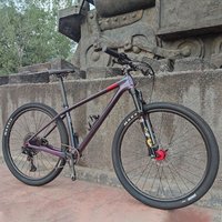 29 Inch 12 Speed Carbon Fiber Mountain Bike With Wire Controlled Air Fork 4 Bearing Wheel Set Oil Brake MTB Bike