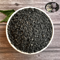 500/1000g Black Volcanic Rock Particles Flower/Succulent Plant Cultivation Aquarium Filtration Purification Water Quality