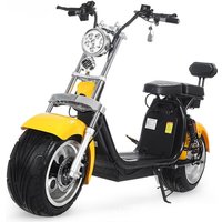 Sportsters Electric Two Wheel Dual Lithium Battery 60V 12A 1500W Chopper Bobber City Coco Scooter Electric Scooter