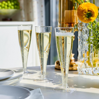 Disposable Plastic Champagne Glasses10Pack Disposable Wine Cups for Wedding Birthday Valentine New Year Eve Party Decor Supplies