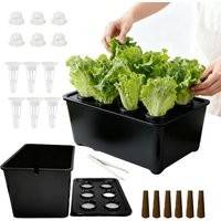Indoor Hydroponic Planting Kit Complete Seedling Box for Growing Lettuce, Flowers on Balcony, in Apartments & Hotels