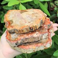 1pc Irregular Wooden Fossil Board Polished Home Decor Table Decoration Craft Wood Table Marker Can Be Used as Crystal Coaster