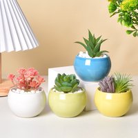 Ceramic succulent flowerpot macaron spherical perforated green plant small potted plant creative interior decoration