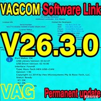 UPDATE SOFTWARE HEX 2026 VAG CDM OBD2 Scanner VAG HE X V2 USB Interface FOR VW AUDI Skoda Seat Unlimited VINs Multilingual TODL