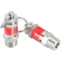 1/8" 1/4" BSPT Außengewinde 0,5 1 2 3 4 5 6-10 Bar 304 Edelstahl Sicherheitsventil Federtyp Druckentlastungsventil Luftablassventil