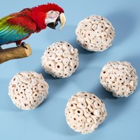 2-10pcs Parrot Chewing Toy Ball Chew Shred Foraging Grass Toy Bird Cage Accessories for Parakeet Parrotlet Lovebird Budgies