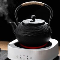 GIANXI Teekanne aus Eisen mit Edelstahl-Ei, japanische Eisen-Teekanne aus Guss, Oolong-Tee, Kung-Fu-Tee, Puer-Tee, Teekessel