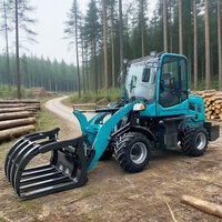 Factory Direct Sales of CE Certified Wheel Loaders Suitable for Construction and Agricultural Use Equipped with Custom Buckets