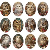 Random Mixed Round/Oval/Square Owls Bird Winter Photo Glass Cabochon Flatback Demo Cameo For Diy Jewelry Making Handmade