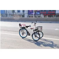 Inverted Three-Wheel Bicycle Human Middle-Aged and Elderly Scooter Disc Brake Speed Change Recreational Vehiclez