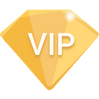 VIP payment link(120PCS*5)