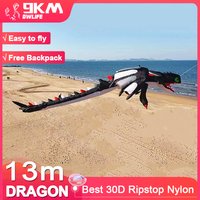 9KM 13m Dragon Kite Line Laundry for Adults High Quality Ripstop Nylon Soft Inflatable Fish Show Kite Pendant (Accept wholesale)