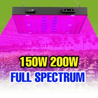 200W LED Plant Grow Light Full Spectrum Indoor Hydroponics Fill Lamp AC100-277V Greenhouse Vegetable Fruits Cultivation Lighting