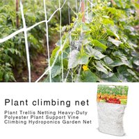 1Pc Garden Plants Climbing Net Plastic Nylon Net Morning Glory Flower Vine Netting Support Net Grow Net Holder Garden Netting