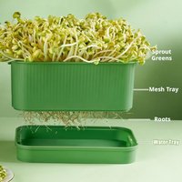 Seed Sprout Tray Garden Hydroponic Peanut Sprouting Box Mini Greenhouse Germination Kits Germination Soilless Planting Pot