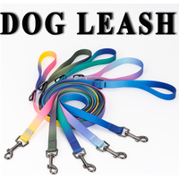 Thick 2mm Gradient PVC Dog Leash Waterproof Easy Clean Walking Lead Metal Clasp 120cm S/M/L for Small Medium Dogs