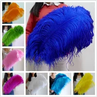 Plumes d'autruche pour artisanat, bijoux à bricoler soi-même, 70-75CM, accessoires de décoration pour fête de mariage, Plume de décoration de mariage, 10 pièces/lot